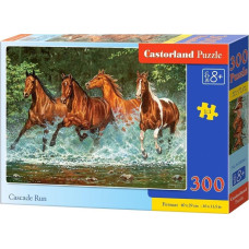 Castorland Puzzle Cascade Run