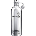 Montale Montale Fantastic Basilic Edp 100ml