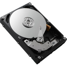 Dell Dysk serwerowy Dell DELL 09W5WV-RFB dysk twardy 1 TB 7200 RPM 2.5