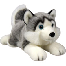 Dubi Maskotka Pies Husky Leżący Pluszak 34cm Miękka Przytulanka Miś Piesek