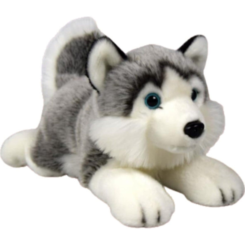 Dubi Maskotka Pies Husky Leżący Pluszak 34cm Miękka Przytulanka Miś Piesek