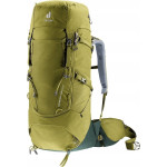 Deuter Aircontact Core 40+10 kaktus-bluszcz