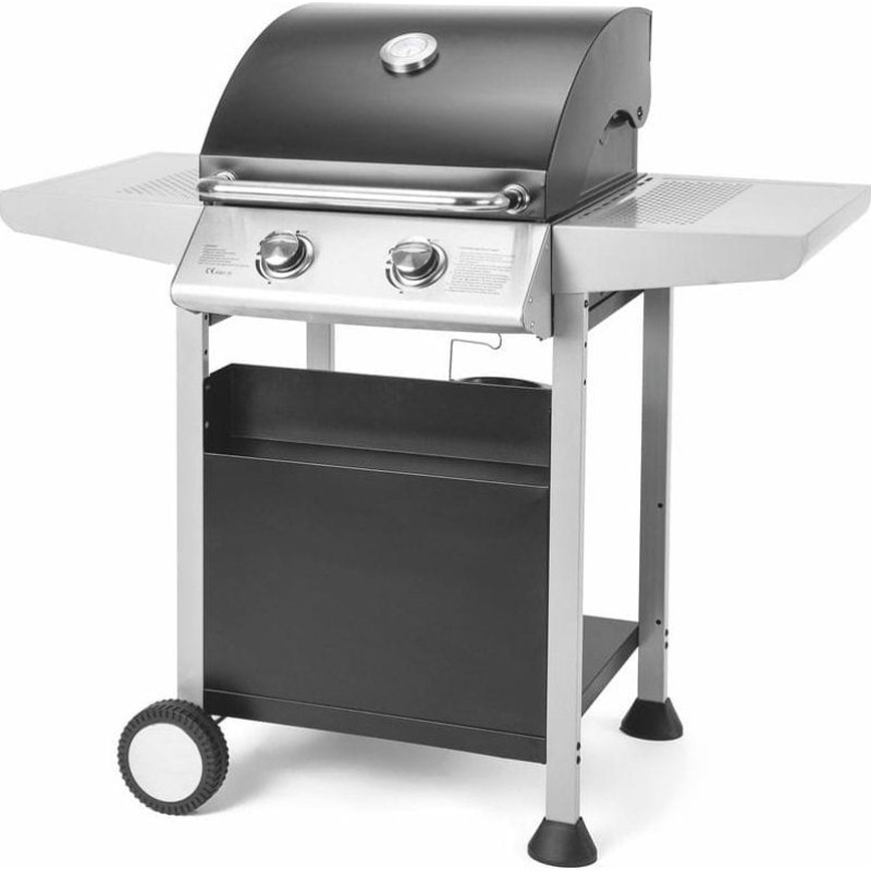 Fieldmann Grill ogrodowy gazowy FZG 3102 ruszt żeliwny 48x42 cm