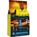 Power Of Nature ML Ambrosia Jagnięcina i Łosoś 2 kg