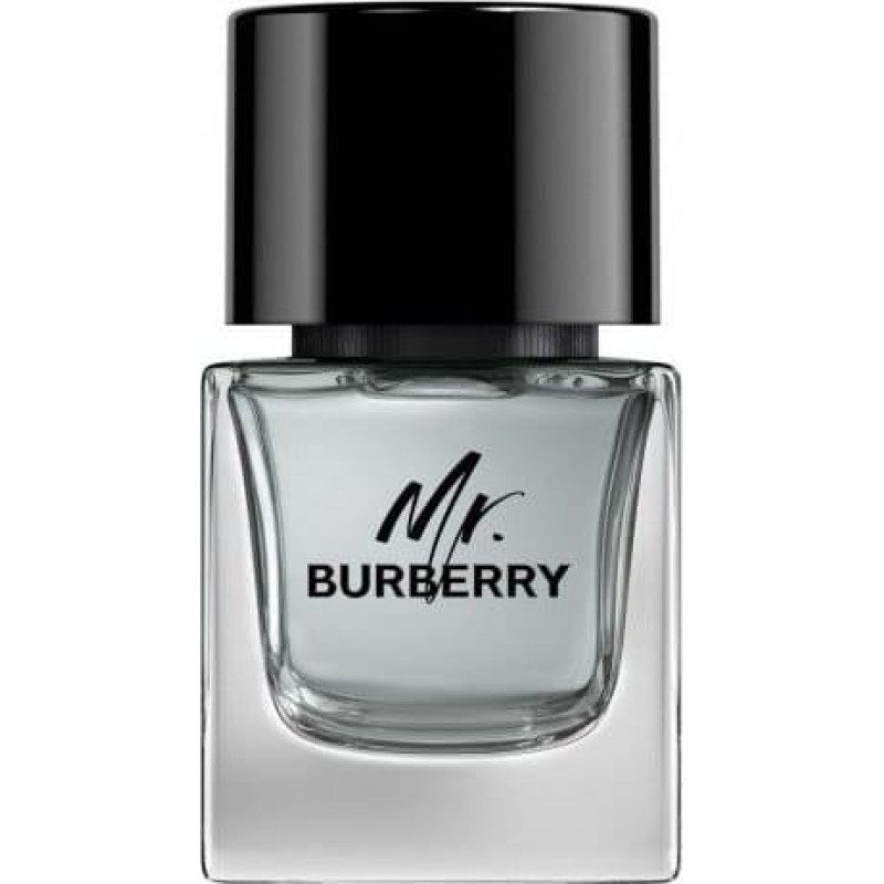 Burberry BURBERRY Mr. Burberry EDT spray 50ml