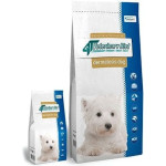 Vetexpert 4T Veterinary Diet Dog Dermatosis 12kg