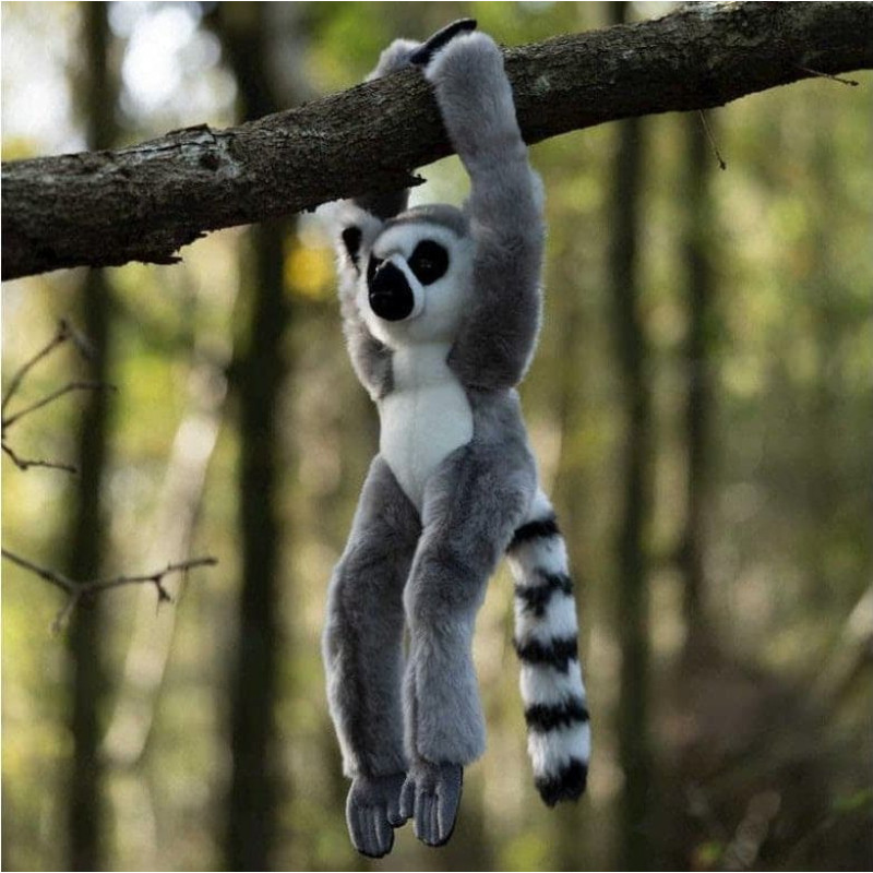 Close Caboo Pluszowy lemur na rzepy