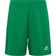 Adidas Spodenki adidas ENTRADA 22 Short Y IC7410