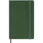 Moleskine Kalendarz 2025 dzienny P BR myrtle green