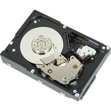 Dell Dysk serwerowy Dell ASSY HD 900 SAS 10 2.5 HIT FRU