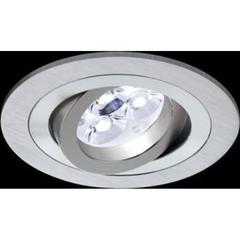 Bpm Lighting Oprawa sufitowa oczko halogenowe BPM 1X50W GU5.3 MR16 aluminium (A3010)