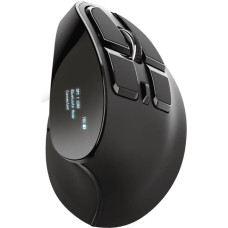 Trust MOUSE USB OPTICAL ERGONOMIC/VOXX