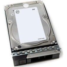 Dell Dysk serwerowy Dell 12TB 7.2K RPM NLSAS 12Gbps