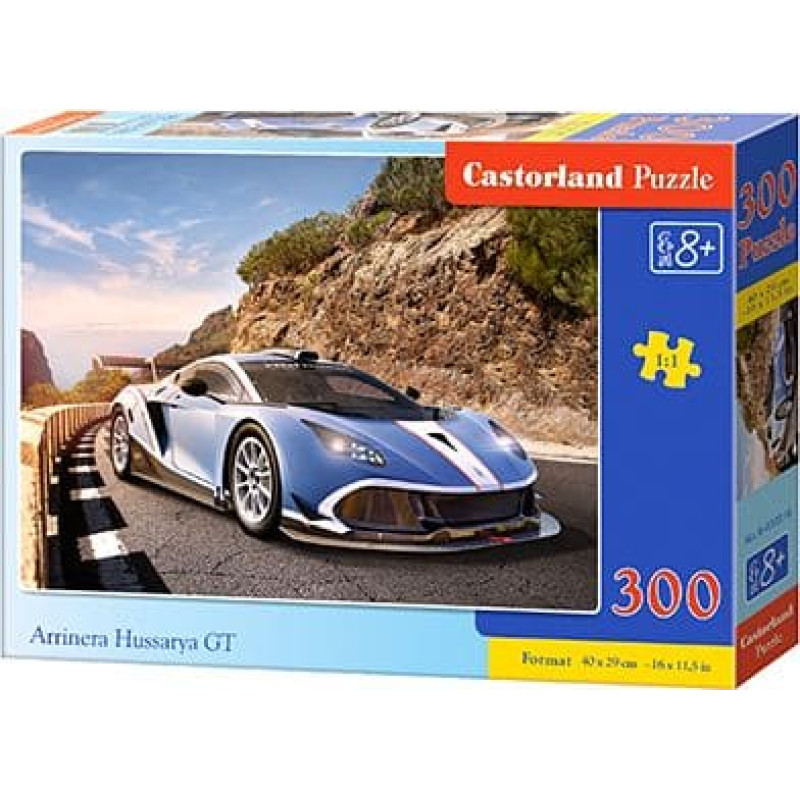 Castorland Puzzle Arrinera Hussarya GT 300 elementów