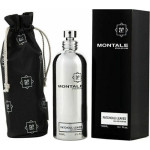 Montale Montale PATCHOULI LEAVES edp 100 ml folia