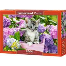 Castorland Puzzle 1500 elementów Kotek w koszyku