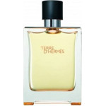 Hermes Hermès Terre d'Hermes EDT 100 ml