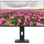 V7 23.8IN HT ADJUST MONITOR HDMI