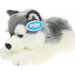 Dubi Pies husky 42cm 32041