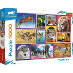 Trefl Puzzle 1000 Dzika natura Discovery Animal Planet