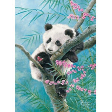 Castorland Puzzle 500 element?w Panda Babusowe sny