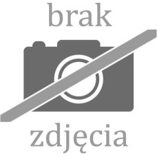 Blow 69-046# Odświeżacz powietrza 250ml 24szt. zapach mix
