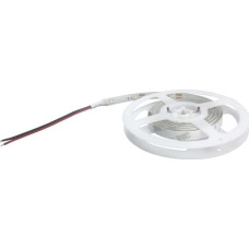 Orno Taśma LED Orno 60szt./m 4.8W/m 12V  (OR-TL-6185L6)