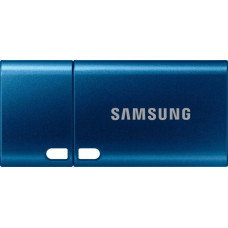 Samsung Type-C 128 GB (blau, USB-C 3.2 Gen 1)