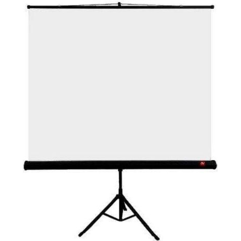 Avtek Tripod Standart 175 projection screen 1:1