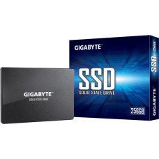 Gigabyte GP-GSTFS31256GTND internal solid state drive 2.5