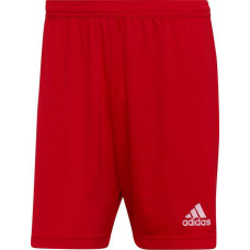 Adidas Spodenki adidas ENTRADA 22 Short H61735 H61735 czerwony XXL