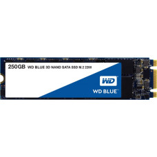 WD Western Digital Blue 3D M.2 250 GB