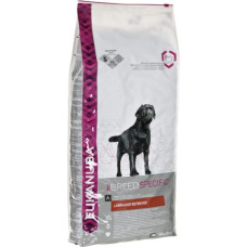 Eukanuba Breeds Nutrition Labrador Retriever Adult 12 kg