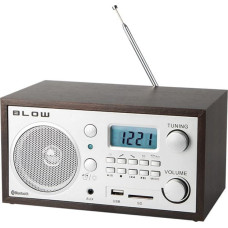 Blow Radio Blow RA2