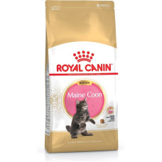 Royal Canin Maine Coon Kitten cats dry food Poultry,Rice 4 kg