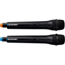 Blaupunkt Audio system Blaupunkt PB12DB Bluetooth speaker, 1600 W