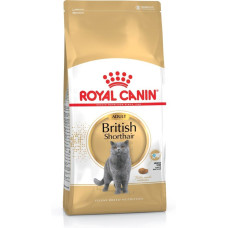 Royal Canin British Shorthair cats dry food 2 kg Adult