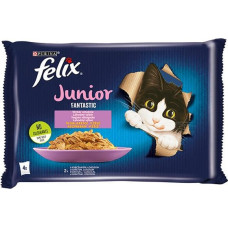 Purina Nestle Felix Fantastic Junior rural flavors in jelly - chicken, salmon - 340g (4x 85 g)