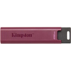 Kingston DataTraveler Max 256 GB (bordeaux, USB-A 3.2 Gen 2)