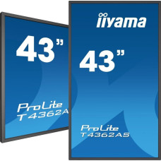 Iiyama Monitor iiyama ProLite T4362AS-B1