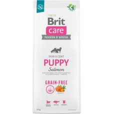 Brit Dry food for puppies and young dogs of all breeds (4 weeks - 12 months).Brit Care Dog Grain-Free Puppy Salmon 12kg