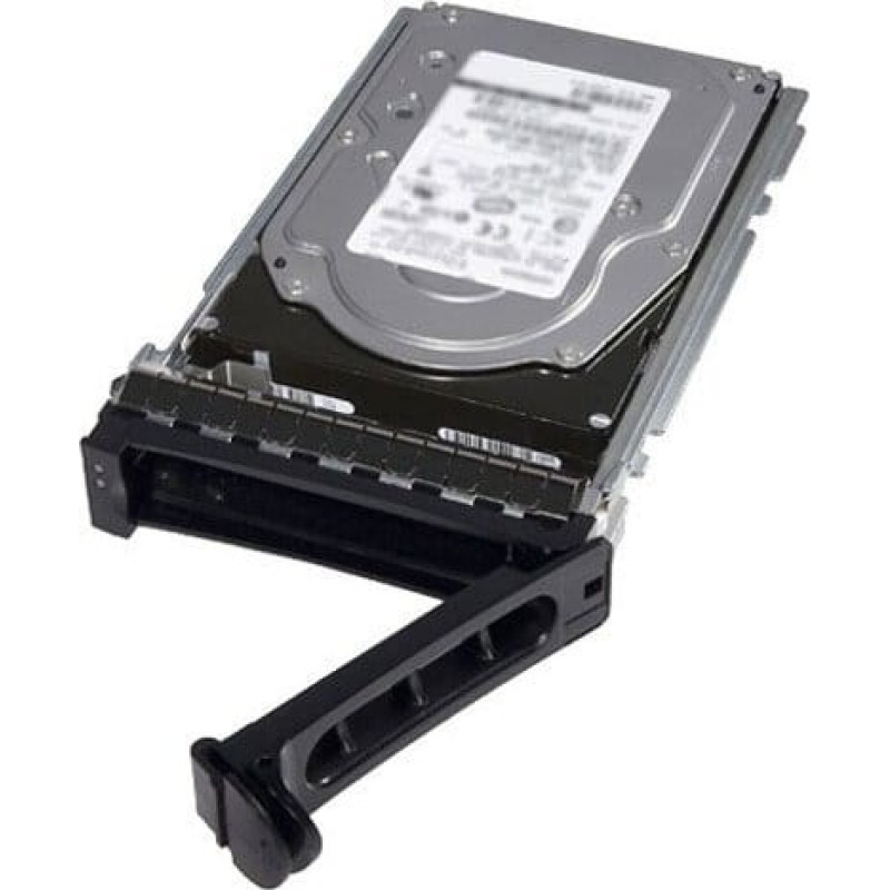 Dell SSDR,256GB,80S3,ADT,SU810,BCLN