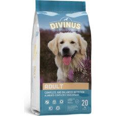 Divinus Adult - dry dog food - 20 kg