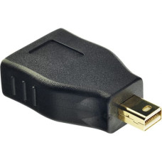 Lindy Adapter AV Lindy DisplayPort Mini - DisplayPort czarny (41077)