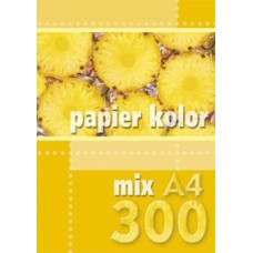 Kreska Papier ksero A4 mix kolorów 300 arkuszy