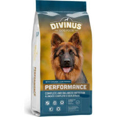 Divinus Performance for German Shepherd  - dry dog food - 10 kg