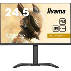 Iiyama MONITOR IIYAMA LED 25