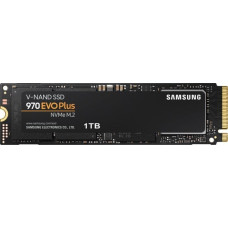 Samsung Dysk SSD Samsung 970 EVO Plus 1TB M.2 22110 SATA III (MZ-V7S1T0E)