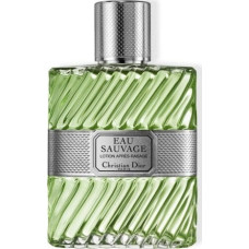 Dior DIOR EAU SAUVAGE (M) A/S SPRAY 100ML