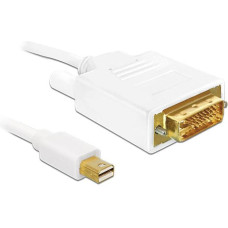 Delock Kabel Delock DisplayPort Mini - DVI-D 2m biały (82918)